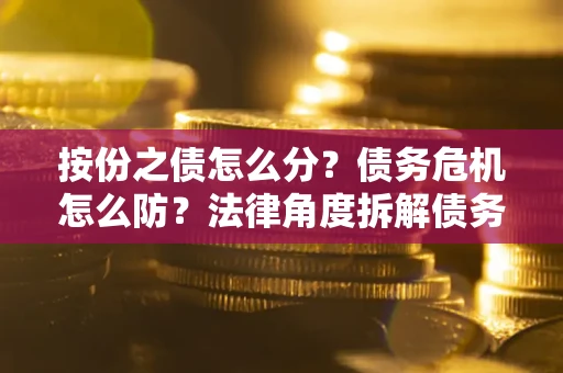 北京按份之债怎么分？债务危机怎么防？法律角度拆解债务分配与风险自保指南