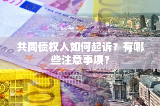 北京共同债权人如何起诉？有哪些注意事项？